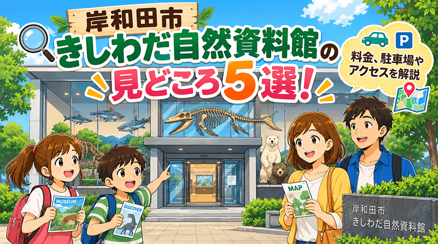 岸和田市きしわだ自然資料館の見どころ５選！料金、駐車場やアクセスを解説