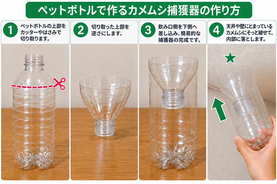 カメムシを捕獲できるカメムシホイホイの作り方